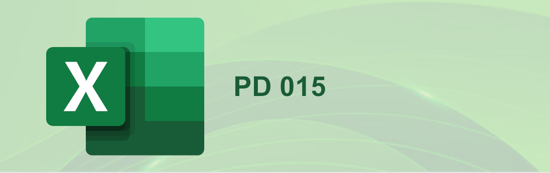 PD 015 | Excel nível intermédio para fins educativos | Secundária de Penafiel